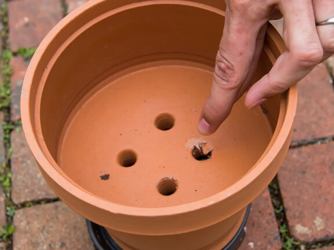 A frost-proof container for ornamental grass with its drainage holes clearly visible.