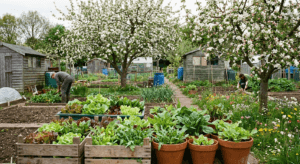 Complete Guide to Week 11 Spring Garden Jobs: May 10-16